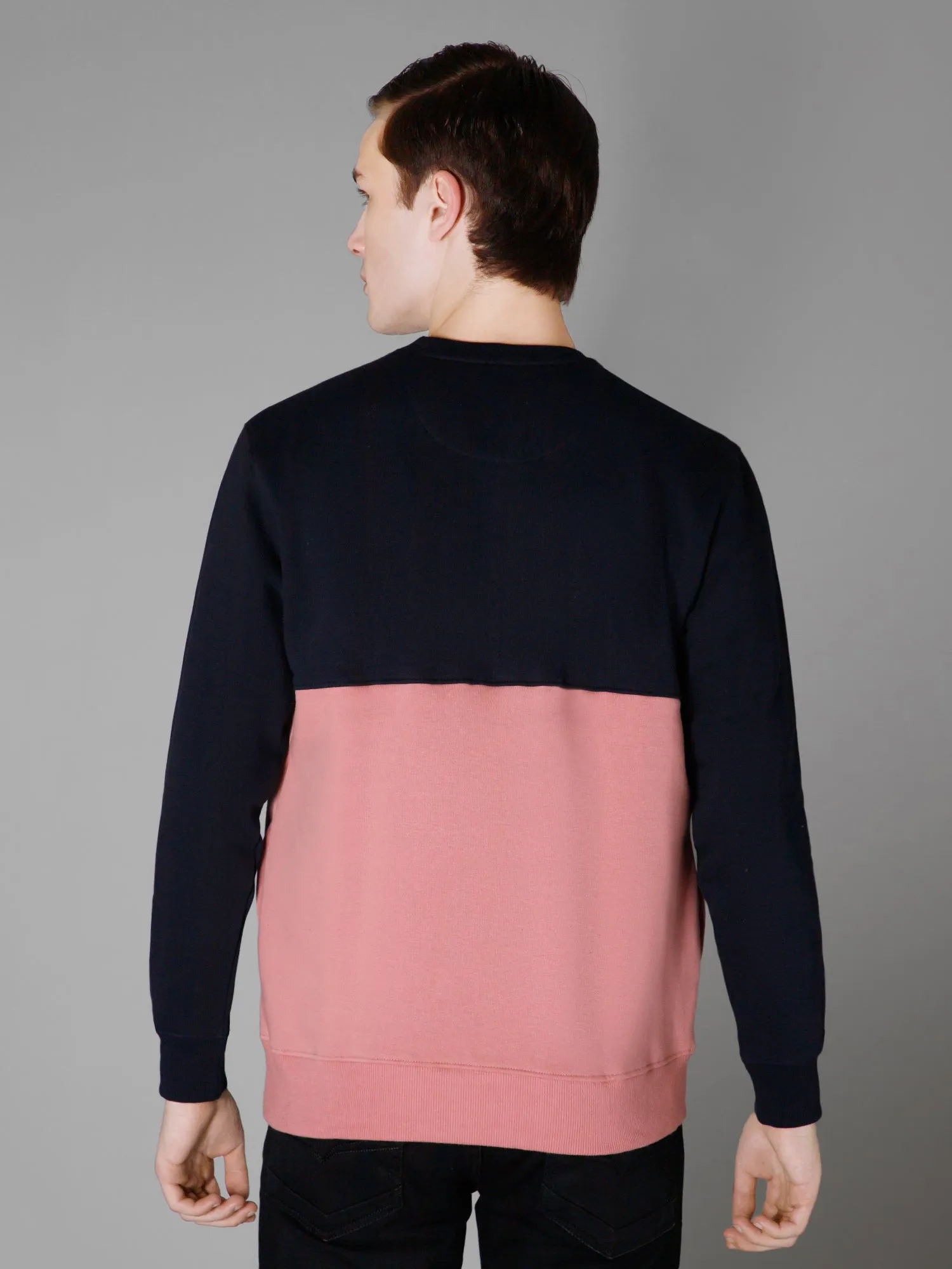 Cantabil Color Blocked Dark Pink Full Sleeves Rounded Neck Regular Fit Casual Sweatshirt for Men